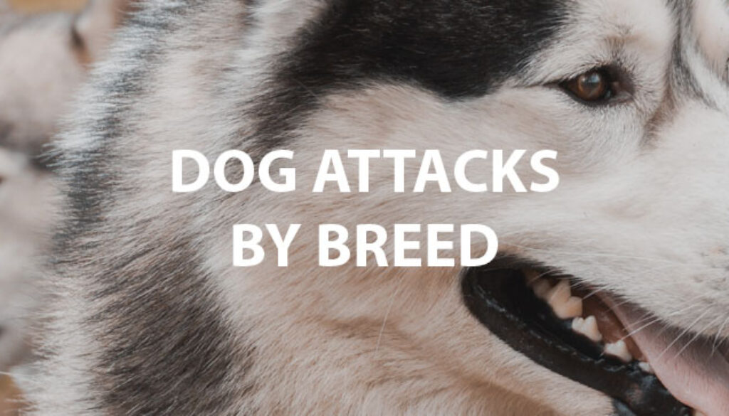 Dog Attacks By Breed
