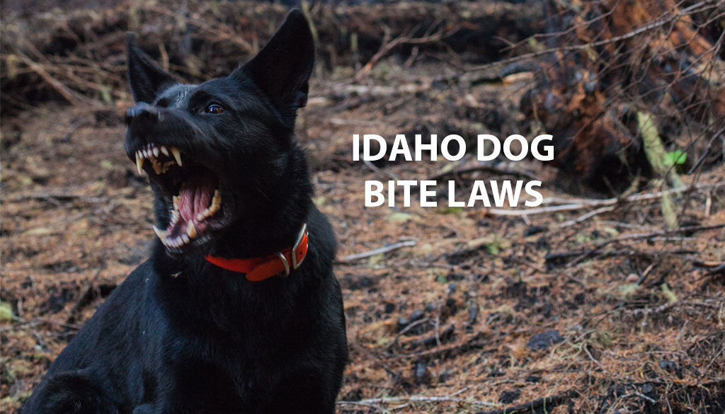 Idaho Dog Bite Laws