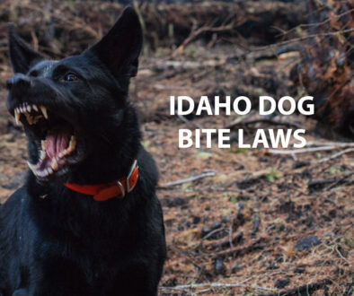 Idaho Dog Bite Laws