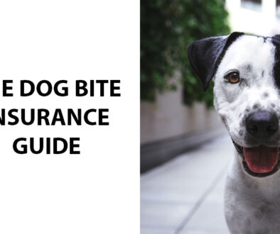 The Dog Bite Insurance Guide