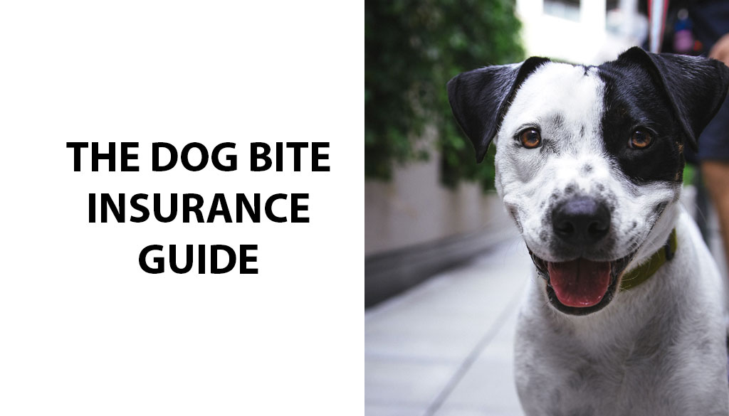 The Dog Bite Insurance Guide