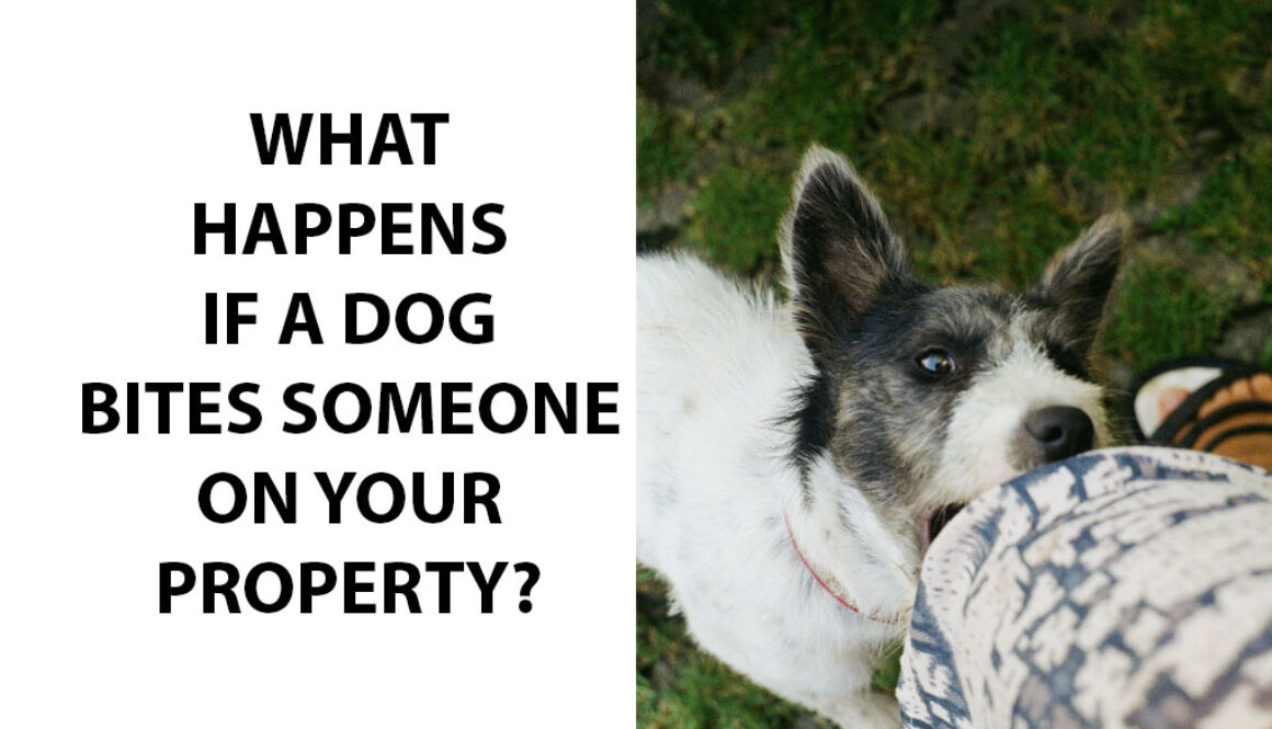 What Happens If A Dog Bites Someone On Your Property?